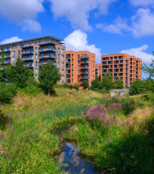 Image shows a developed site, with a stream and grassy land beside it where nature can flourish